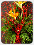 See Red Willow Products ...